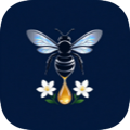 App logo